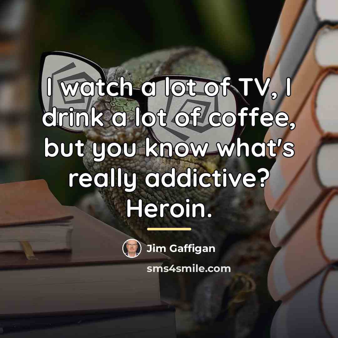 “I watch a lot of TV, I drink a lot…” quote by Jim Gaffigan