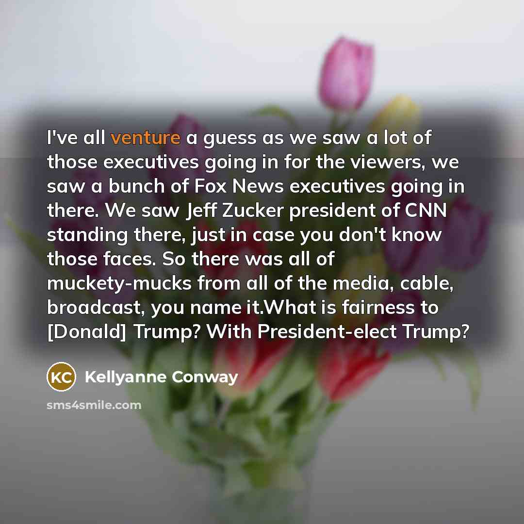 “I've all venture a guess as we saw a lot…” quote by Kellyanne Conway