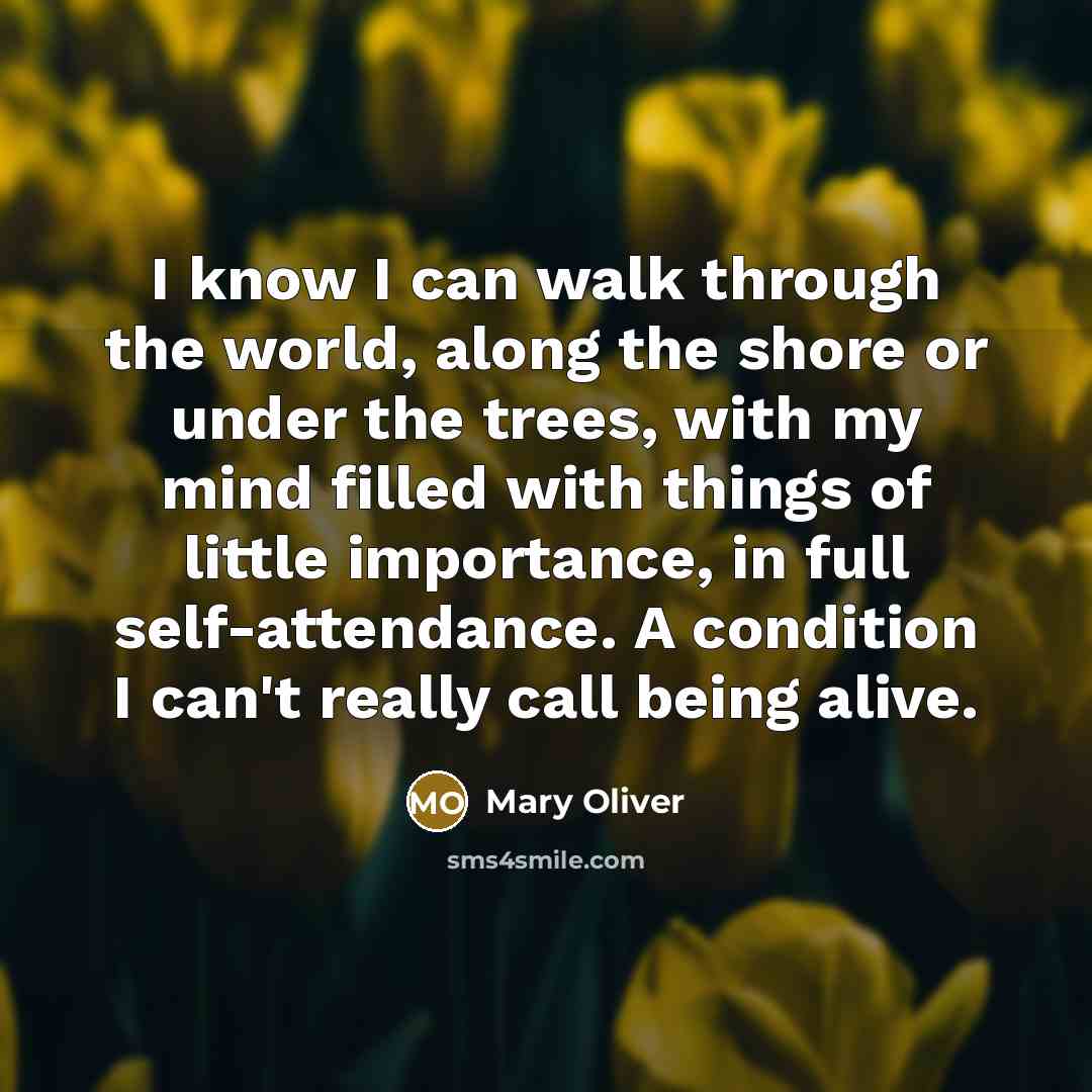 “I know I can walk through the world, along the…” quote by Mary Oliver