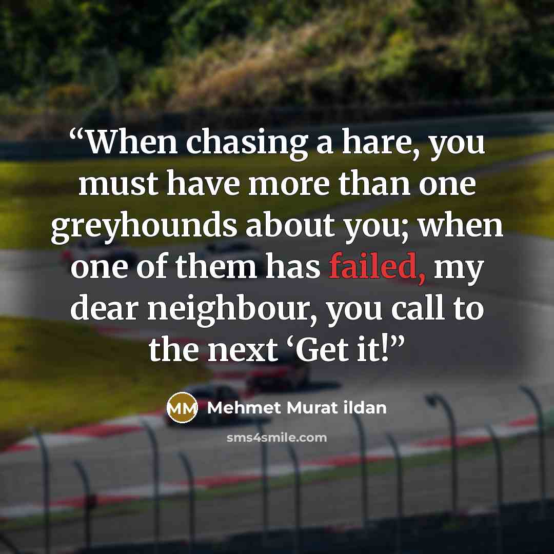 “When chasing a hare, you must have more than one greyhounds about you; when one of them has failed, my dear neighbour, you call to the next ‘Get it!” quote by Mehmet Murat ildan
