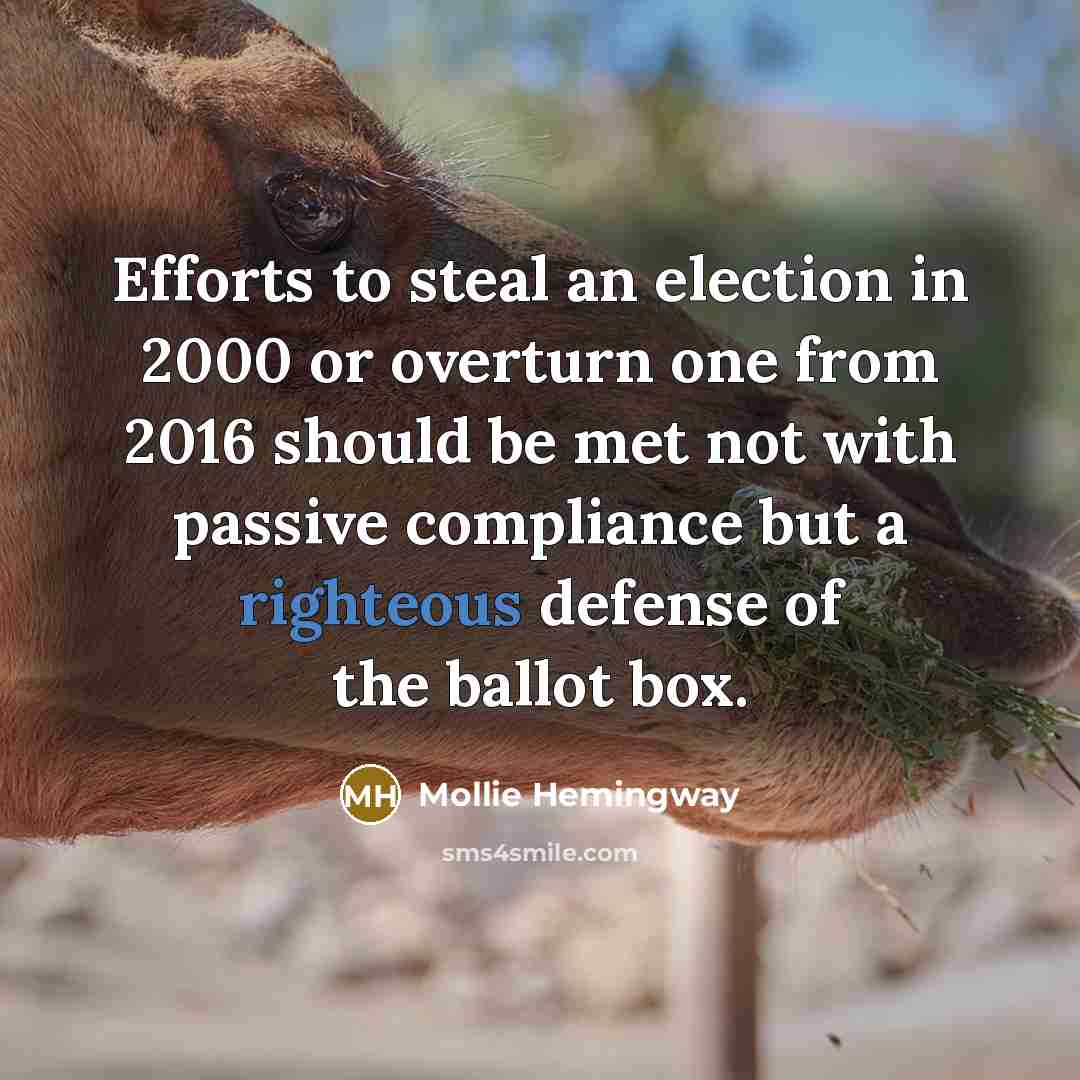 “Efforts to steal an election in 2000 or overturn one…” quote by Mollie Hemingway