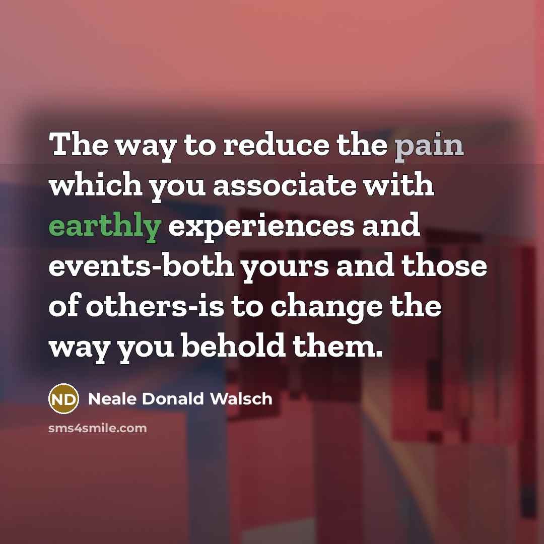 “The way to reduce the pain which you associate with…” quote by Neale Donald Walsch
