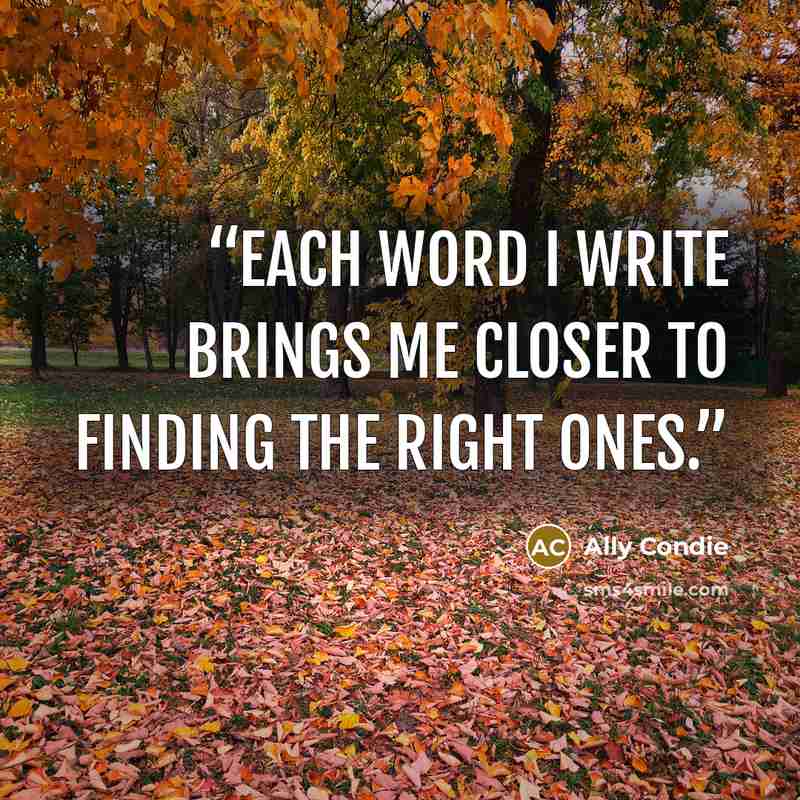 “Each word I write brings me closer to finding the right ones.” quote by Ally Condie