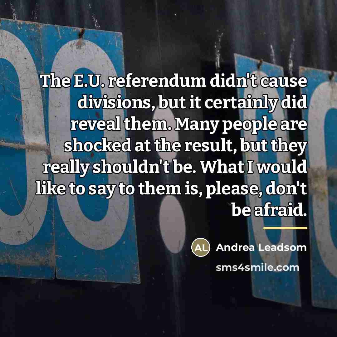 “The E.U. referendum didn't cause divisions, but it certainly did…” quote by Andrea Leadsom