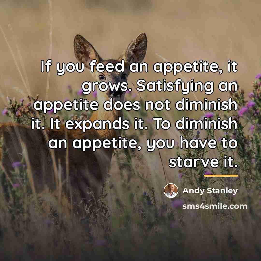 “If you feed an appetite, it grows. Satisfying an appetite…” quote by Andy Stanley