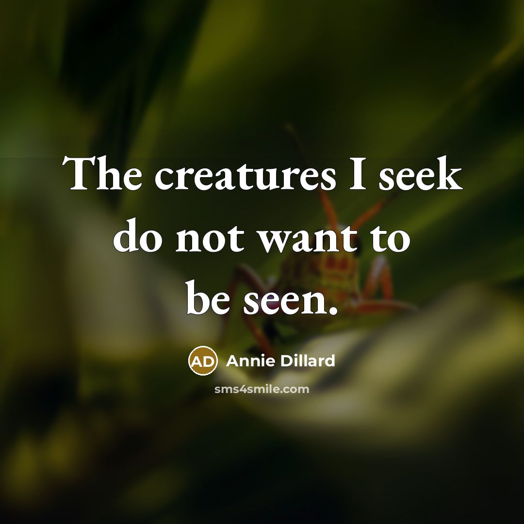 “The creatures I seek do not want to be seen.…” quote by Annie Dillard