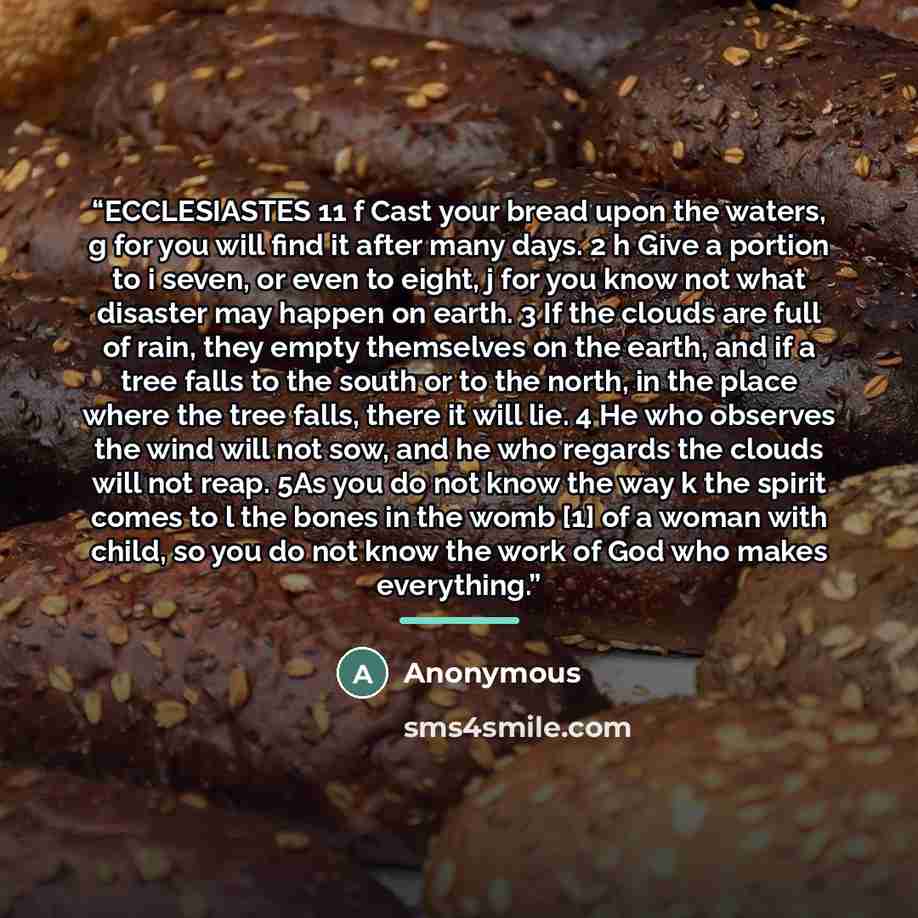 “ECCLESIASTES 11 f Cast your bread upon the waters, g for you will find it after many days. 2 h Give a portion to i seven, or even to eight, j for you know not what disaster may happen on earth. 3 If the clouds are full of rain, they empty themselves on the earth, and if a tree falls to the south…” quote by Anonymous