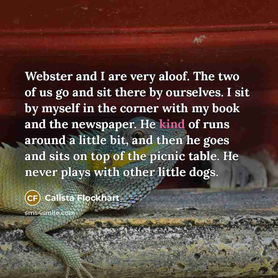 “Webster and I are very aloof. The two of us…” quote by Calista Flockhart