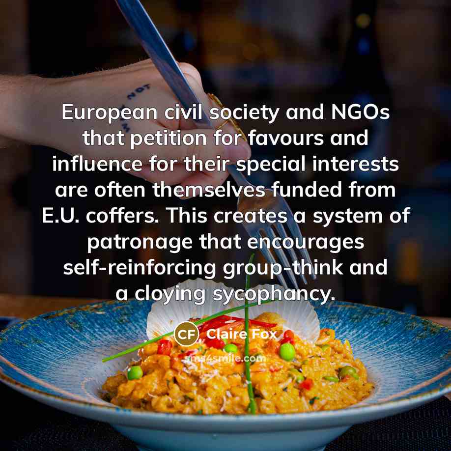 “European civil society and NGOs that petition for favours and…” quote by Claire Fox