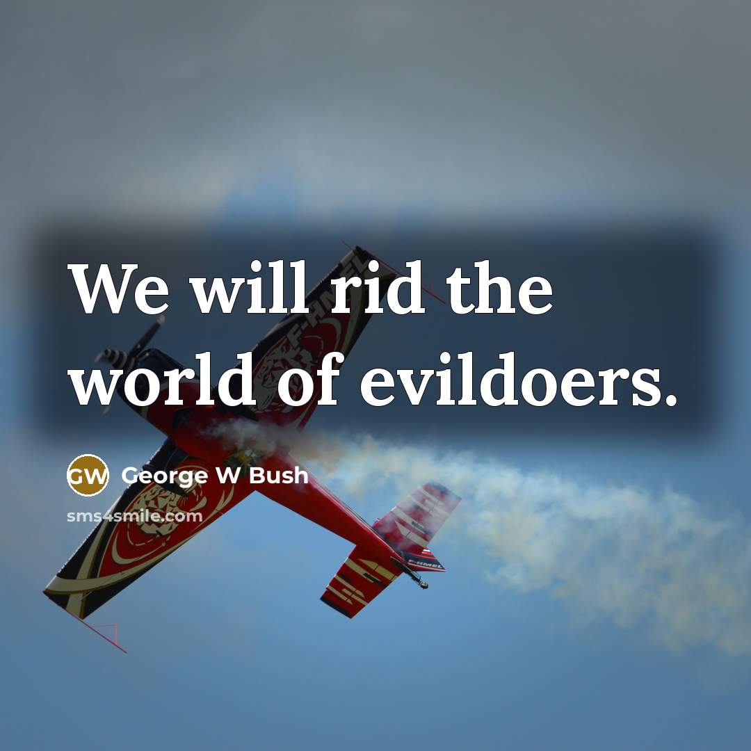 “We will rid the world of evildoers.…” quote by George W Bush