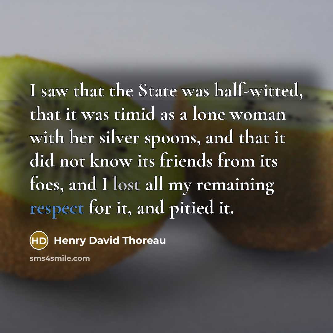 “I saw that the State was half-witted, that it was…” quote by Henry David Thoreau