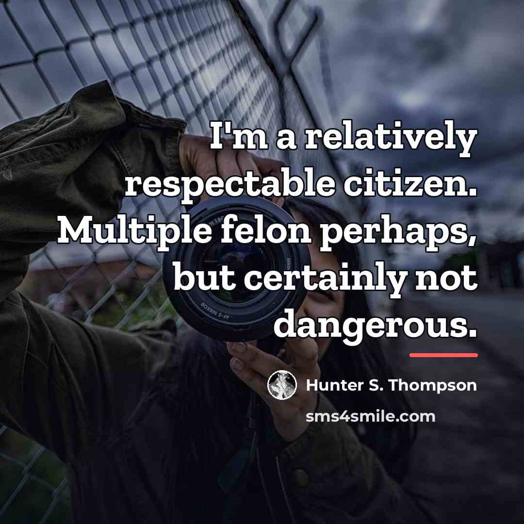 “I'm a relatively respectable citizen. Multiple felon perhaps, but certainly…” quote by Hunter S. Thompson