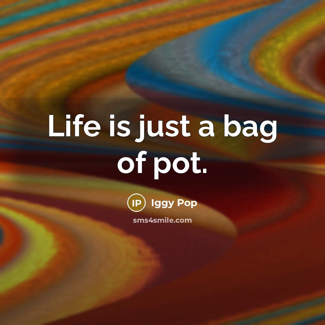 “Life is just a bag of pot.…” quote by Iggy Pop