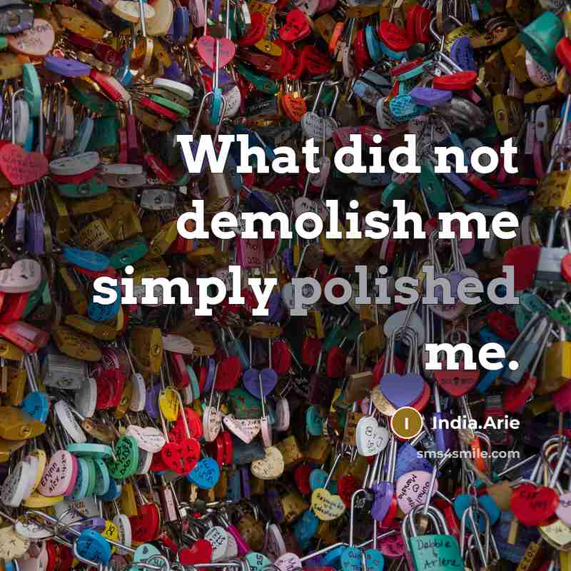 “What did not demolish me simply polished me.…” quote by India.Arie
