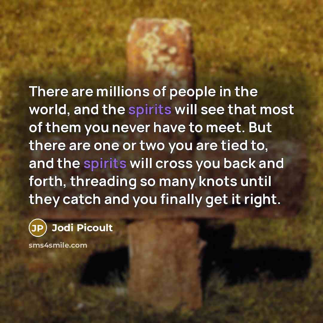 “There are millions of people in the world, and the…” quote by Jodi Picoult