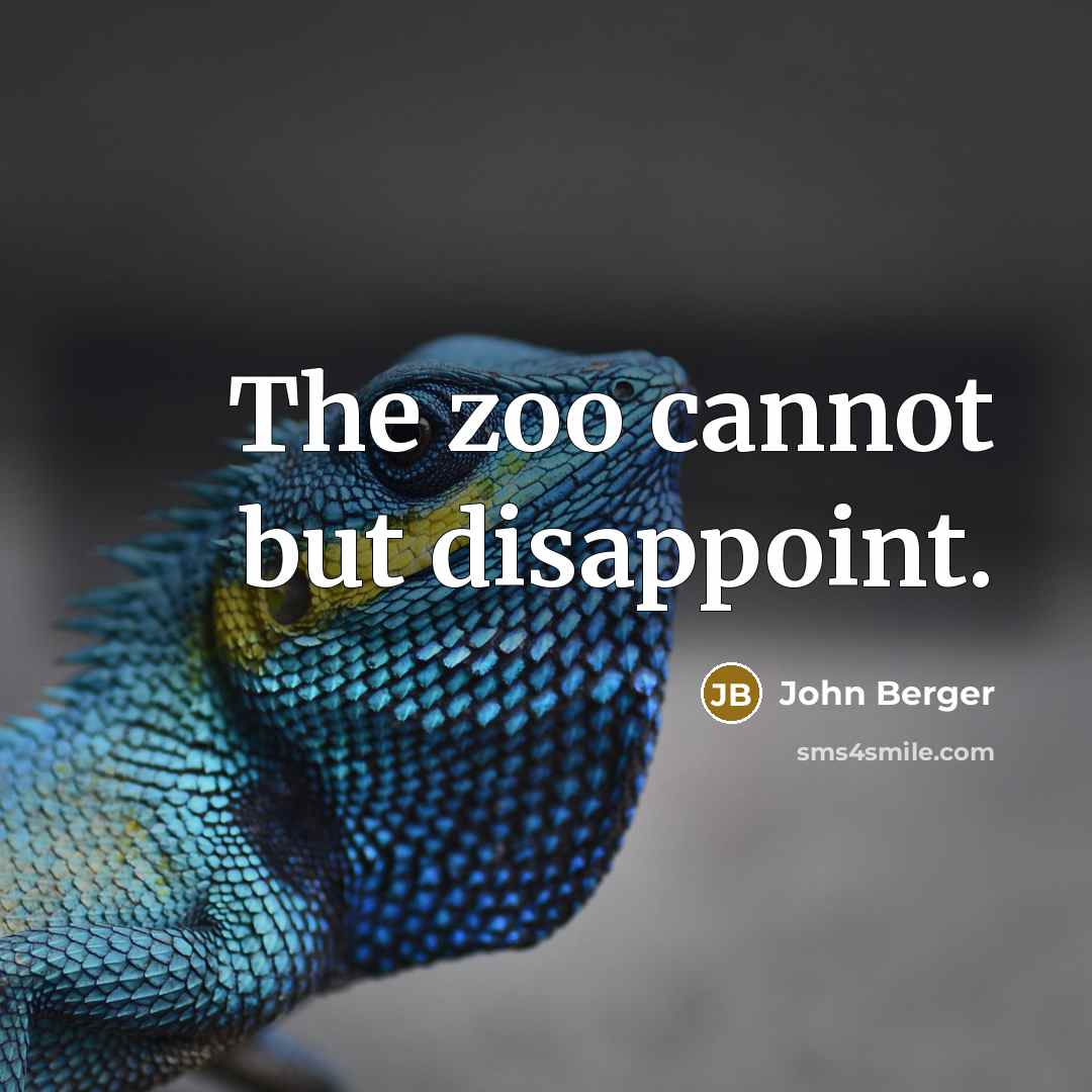 “The zoo cannot but disappoint.…” quote by John Berger