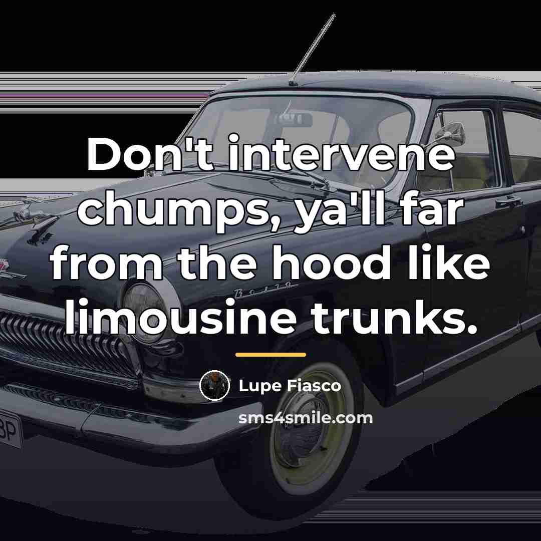 “Don't intervene chumps, ya'll far from the hood like limousine…” quote by Lupe Fiasco