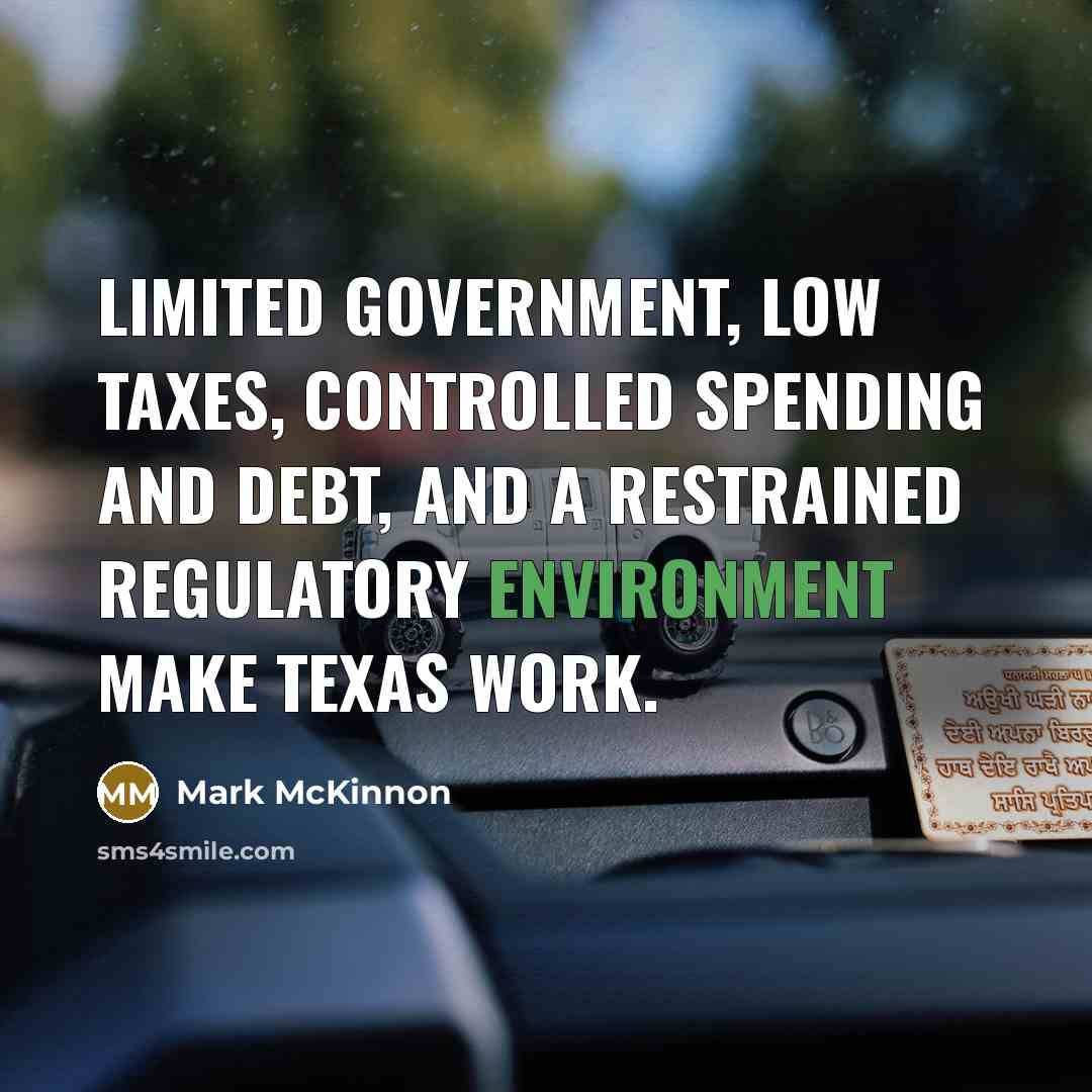 “Limited government, low taxes, controlled spending and debt, and a…” quote by Mark McKinnon