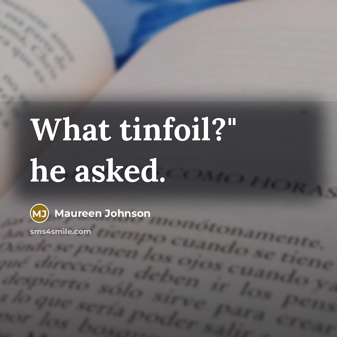“What tinfoil?" he asked.” quote by Maureen Johnson