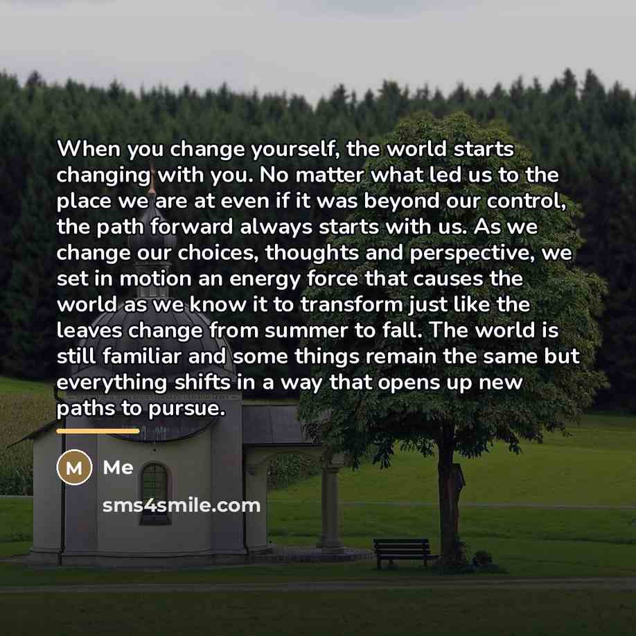 “When you change yourself, the world starts changing with you.…” quote by Me