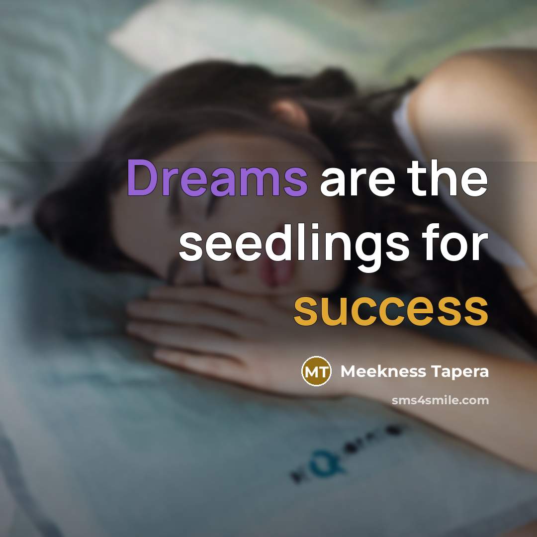 “Dreams are the seedlings for success” quote by Meekness Tapera