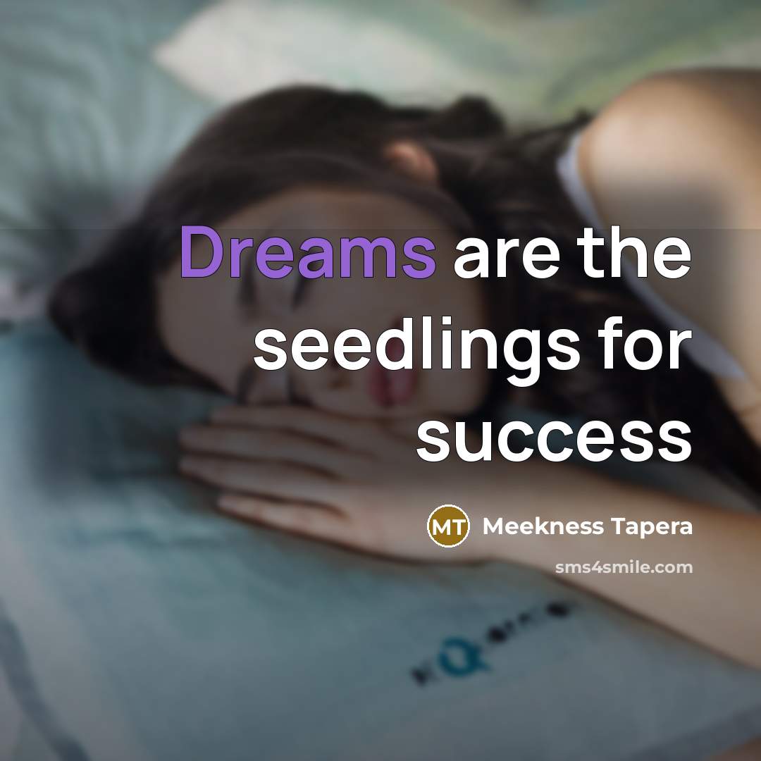 “Dreams are the seedlings for success…” quote by Meekness Tapera
