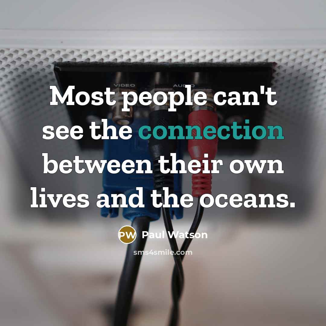 “Most people can't see the connection between their own lives…” quote by Paul Watson