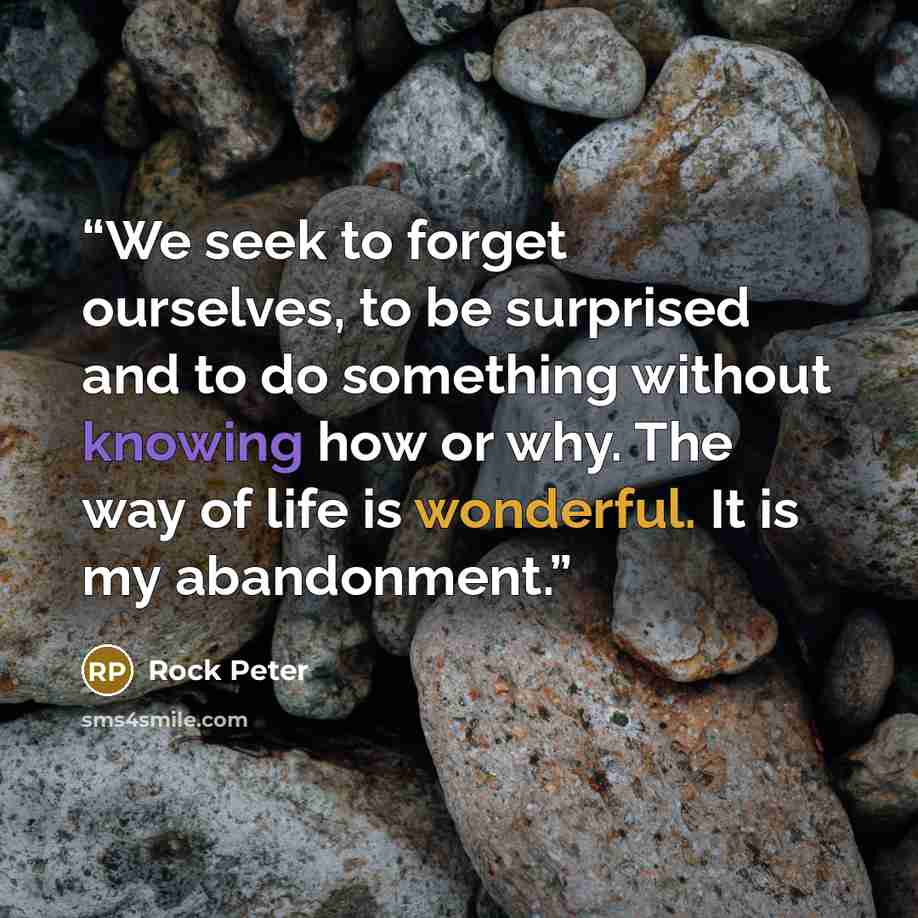 “We seek to forget ourselves, to be surprised and to do something without knowing how or why. The way of life is wonderful. It is my abandonment.” quote by Rock Peter
