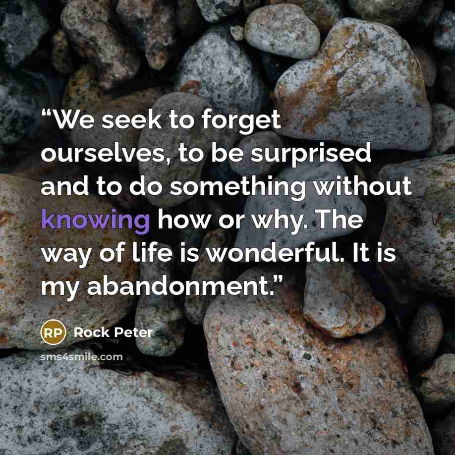 “We seek to forget ourselves, to be surprised and to do something without knowing how or why. The way of life is wonderful. It is my abandonment.” quote by Rock Peter