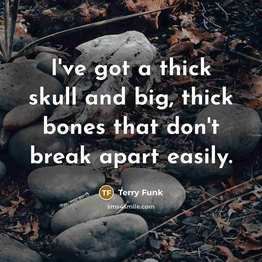 “I've got a thick skull and big, thick bones that…” quote by Terry Funk