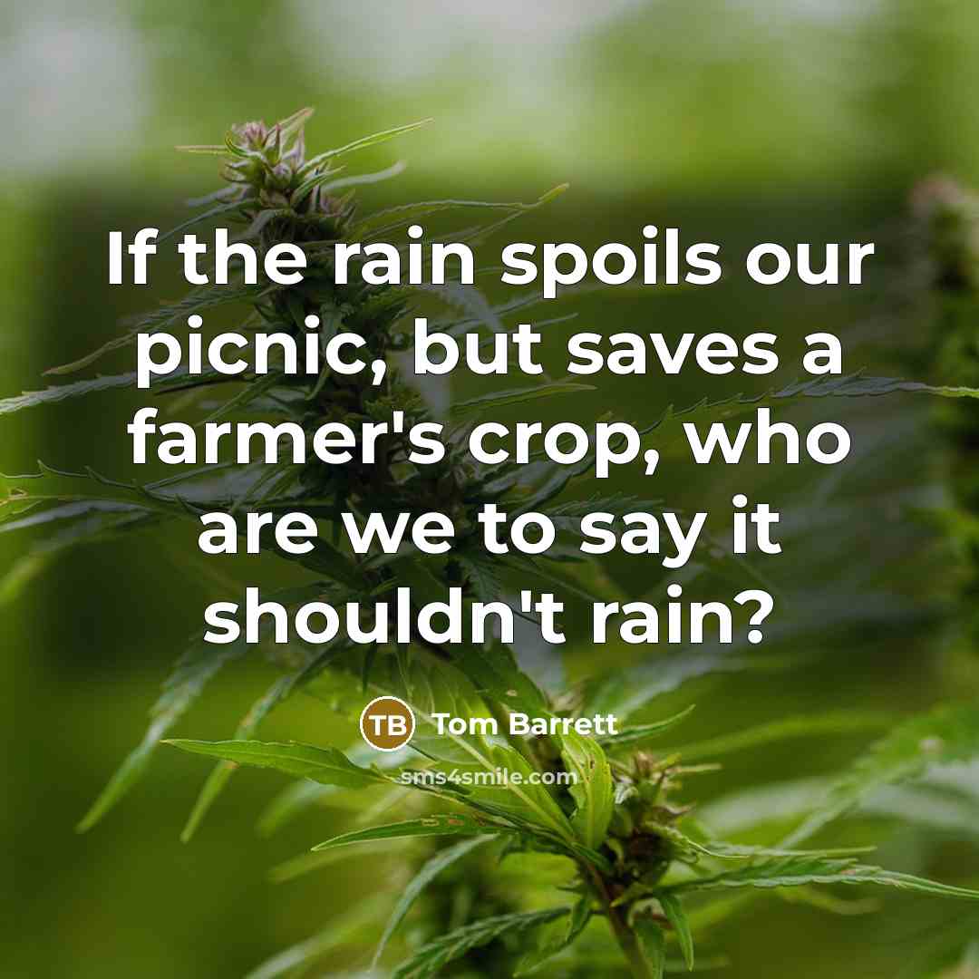 “If the rain spoils our picnic, but saves a farmer's…” quote by Tom Barrett