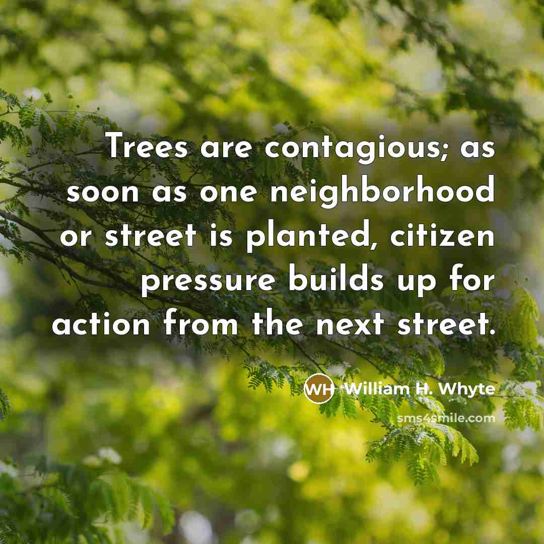 “Trees are contagious; as soon as one neighborhood or street…” quote by William H. Whyte