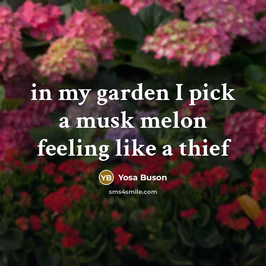 “in my garden I pick a musk melon feeling like…” quote by Yosa Buson