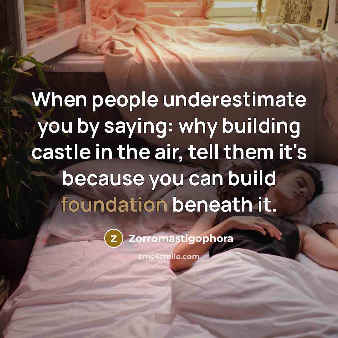 “When people underestimate you by saying: why building castle in…” quote by Zorromastigophora