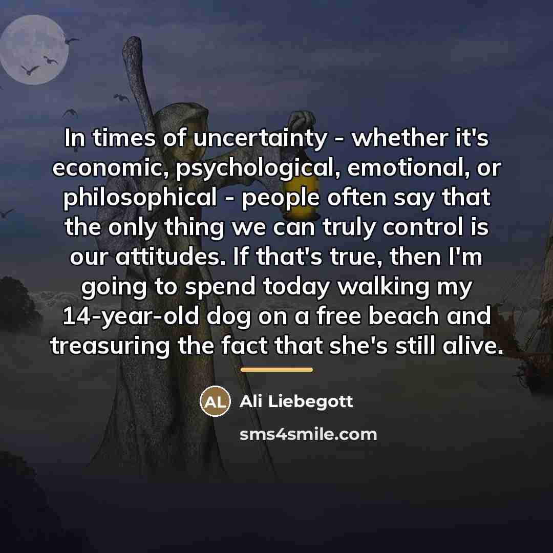 “In times of uncertainty - whether it's economic, psychological, emotional,…” quote by Ali Liebegott