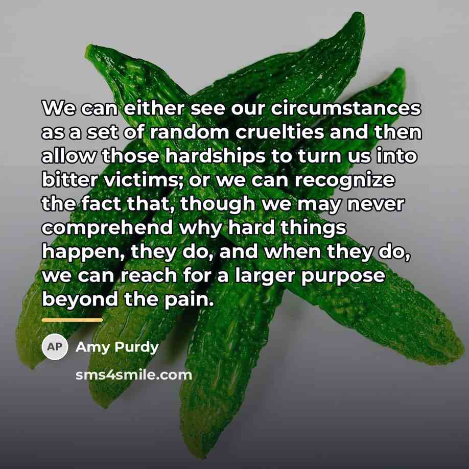 “We can either see our circumstances as a set of…” quote by Amy Purdy
