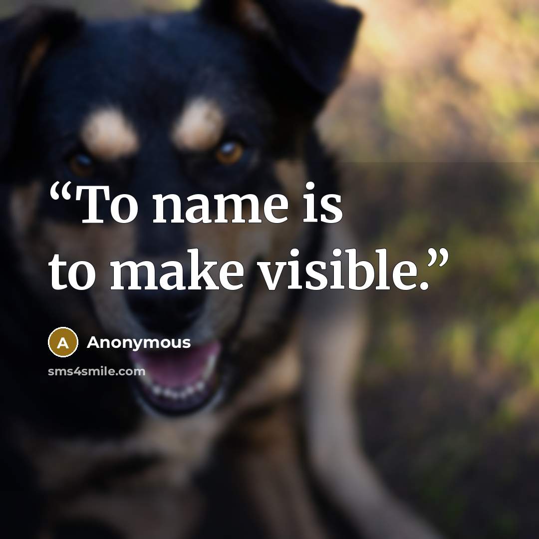 “To name is to make visible.” quote by Anonymous