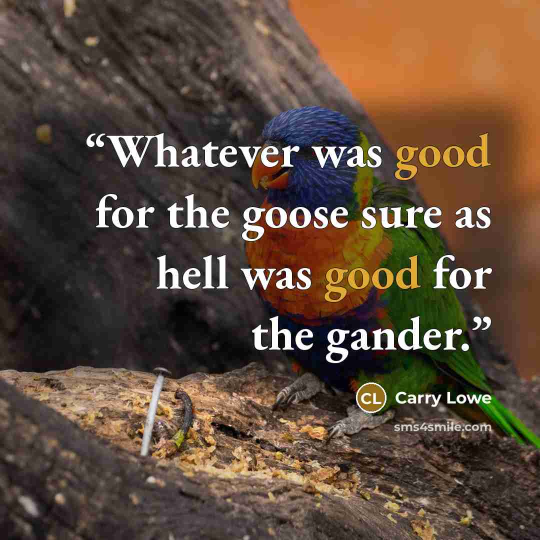 “Whatever was good for the goose sure as hell was good for the gander.” quote by Carry Lowe