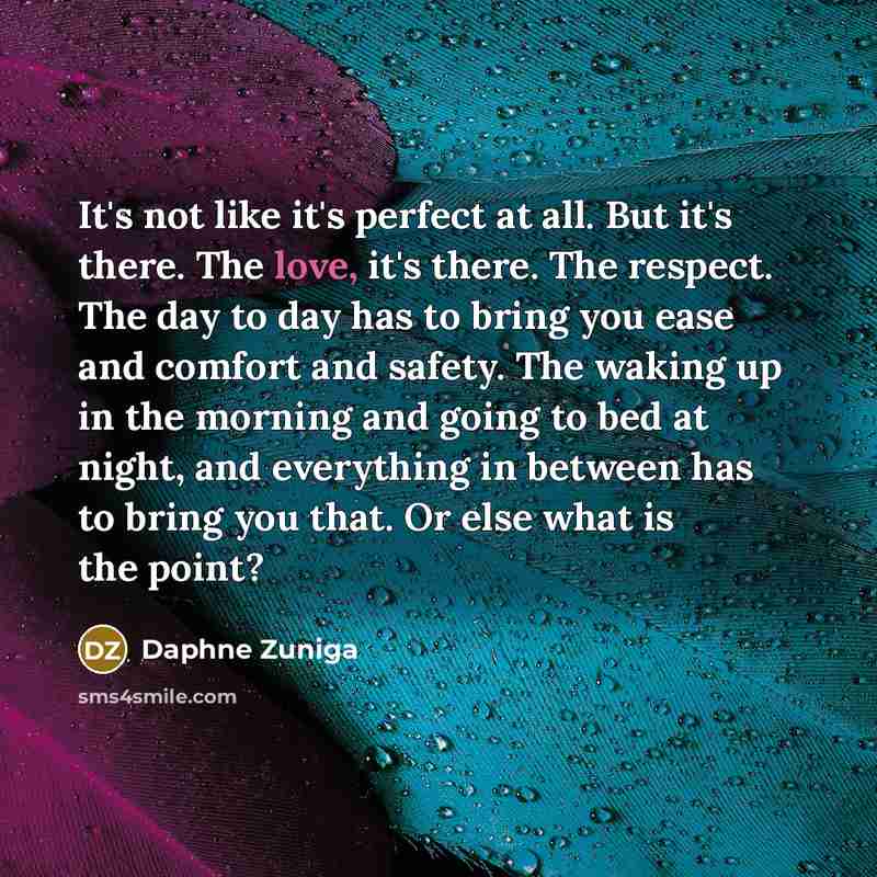 “It's not like it's perfect at all. But it's there.…” quote by Daphne Zuniga