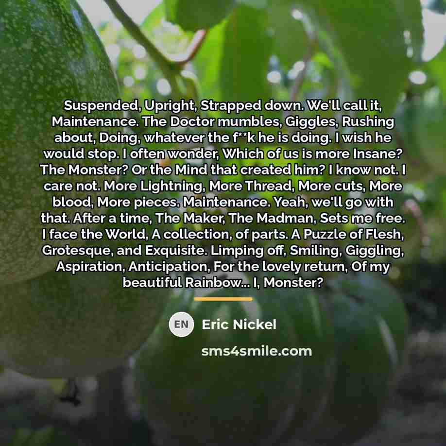 “Suspended, Upright, Strapped down. We'll call it, Maintenance. The Doctor…” quote by Eric Nickel
