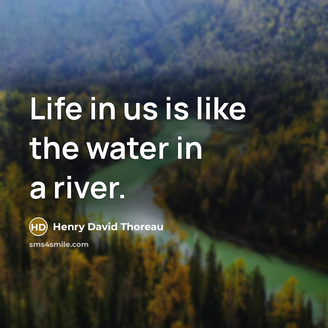 “Life in us is like the water in a river.…” quote by Henry David Thoreau