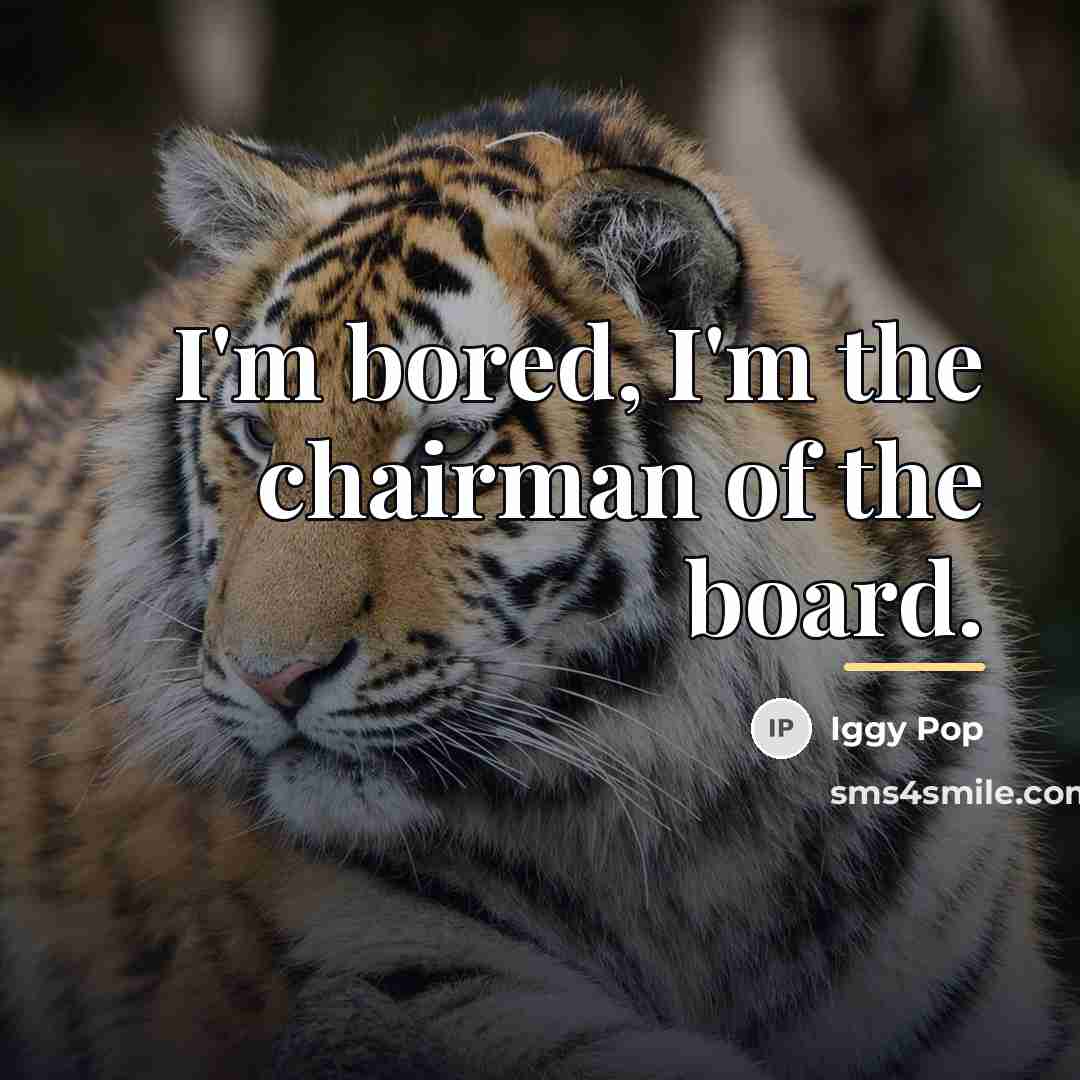 “I'm bored, I'm the chairman of the board.…” quote by Iggy Pop