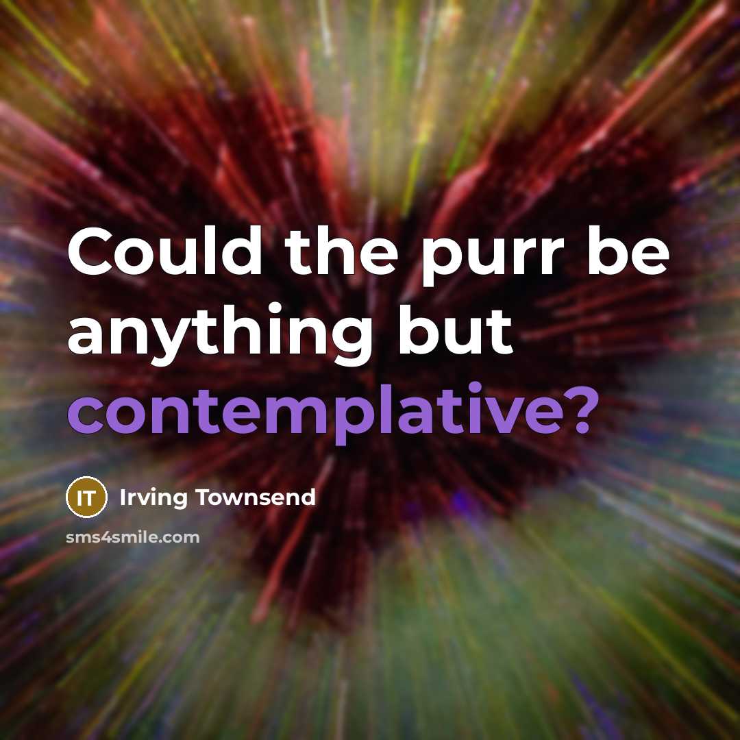 “Could the purr be anything but contemplative?…” quote by Irving Townsend
