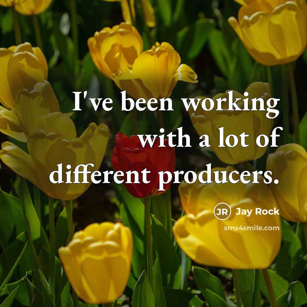 “I've been working with a lot of different producers.…” quote by Jay Rock