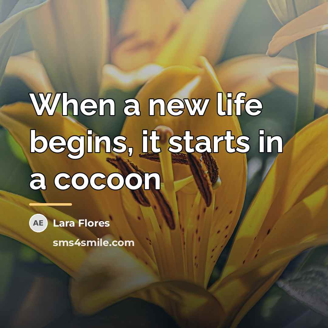 “When a new life begins, it starts in a cocoon…” quote by Lara Flores