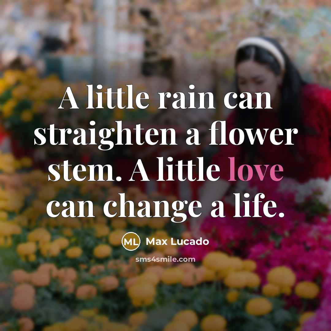 “A little rain can straighten a flower stem. A little…” quote by Max Lucado