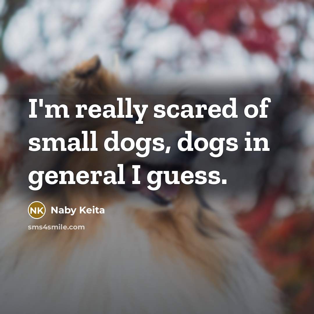 “I'm really scared of small dogs, dogs in general I…” quote by Naby Keita
