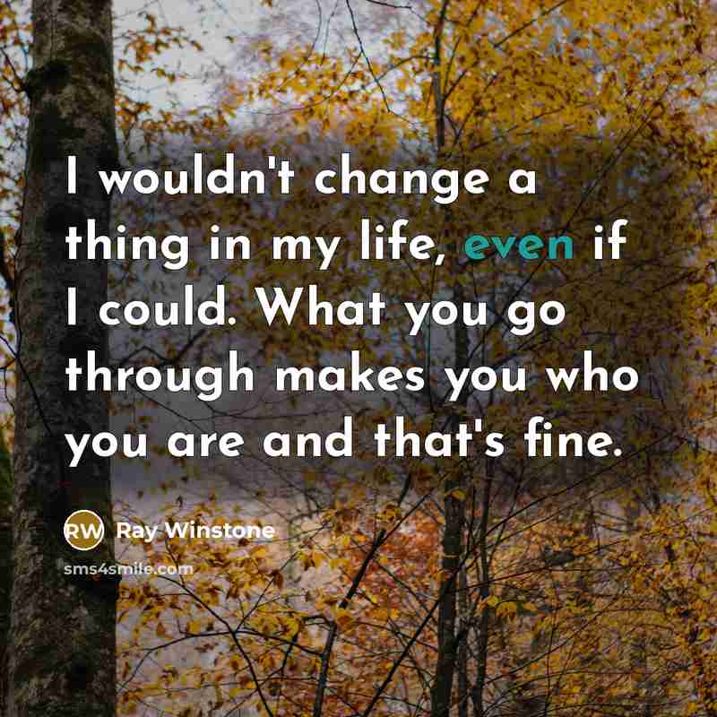 “I wouldn't change a thing in my life, even if I could. What you go through makes you who you are and that's fine.” quote by Ray Winstone