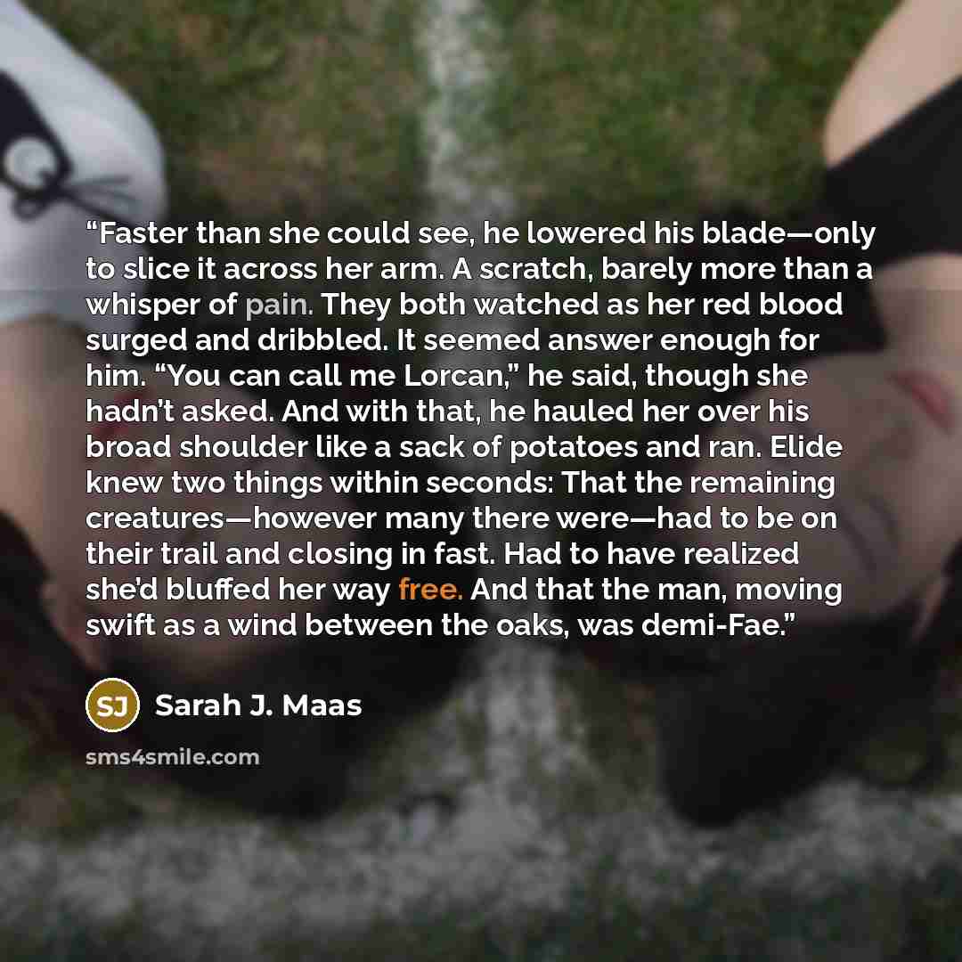 “Faster than she could see, he lowered his blade—only to slice it across her arm. A scratch, barely more than a whisper of pain. They both watched as her red blood surged and dribbled. It seemed answer enough for him. “You can call me Lorcan,” he said, though she hadn’t asked. And with that, he…” quote by Sarah J. Maas