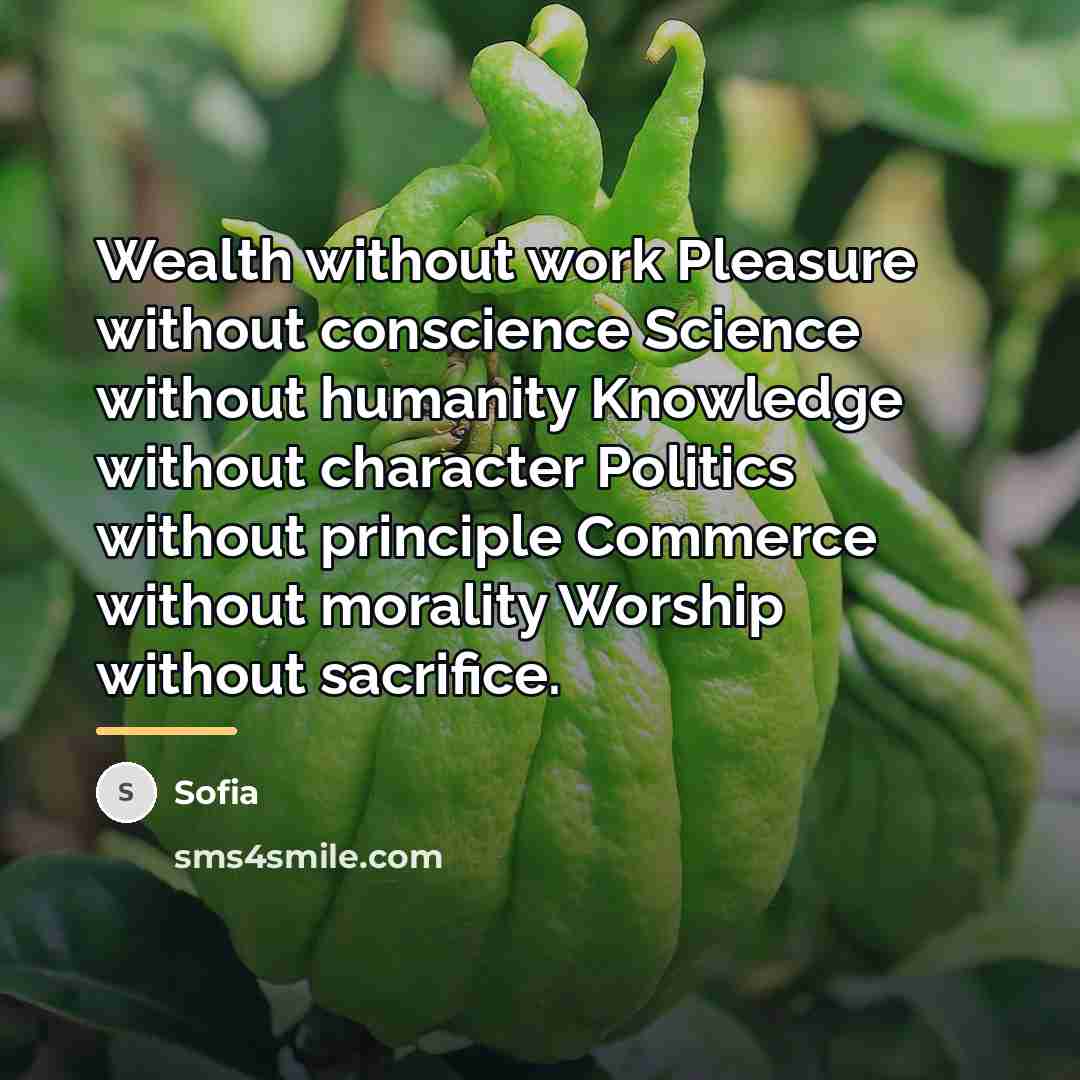 “Wealth without work Pleasure without conscience Science without humanity Knowledge…” quote by Sofia